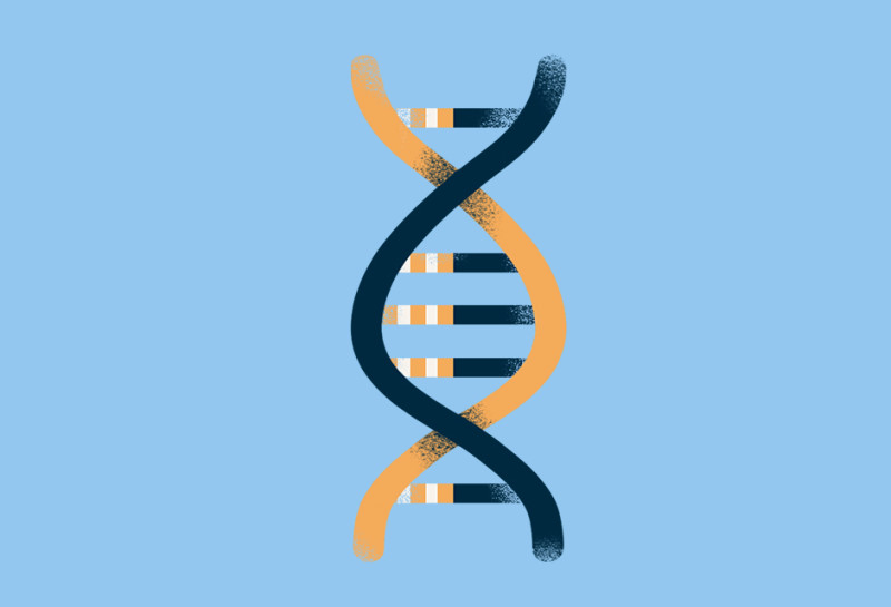 Molecular sequencing