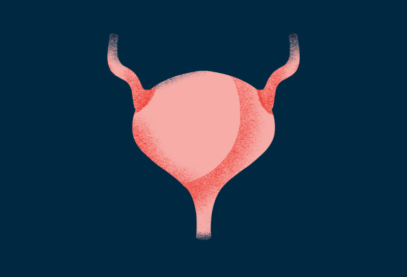 bladder-illustration-oc