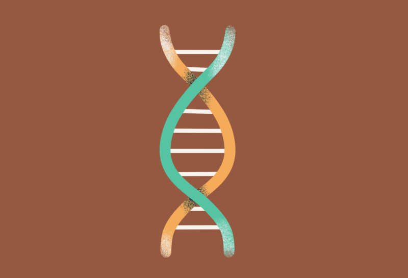 DNA bg brown