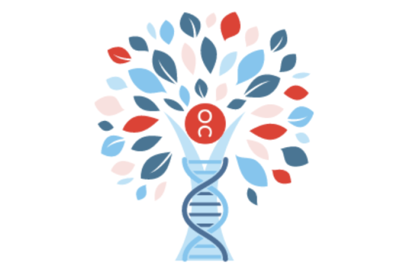 OC Genetics tree