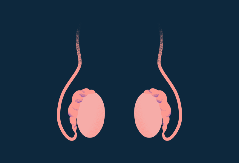 testicular bg dark blue