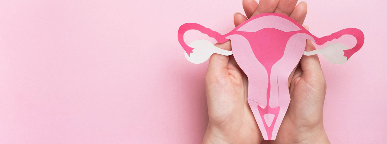 cervical-cancer-pink-holding-illustration-organs-women-oc